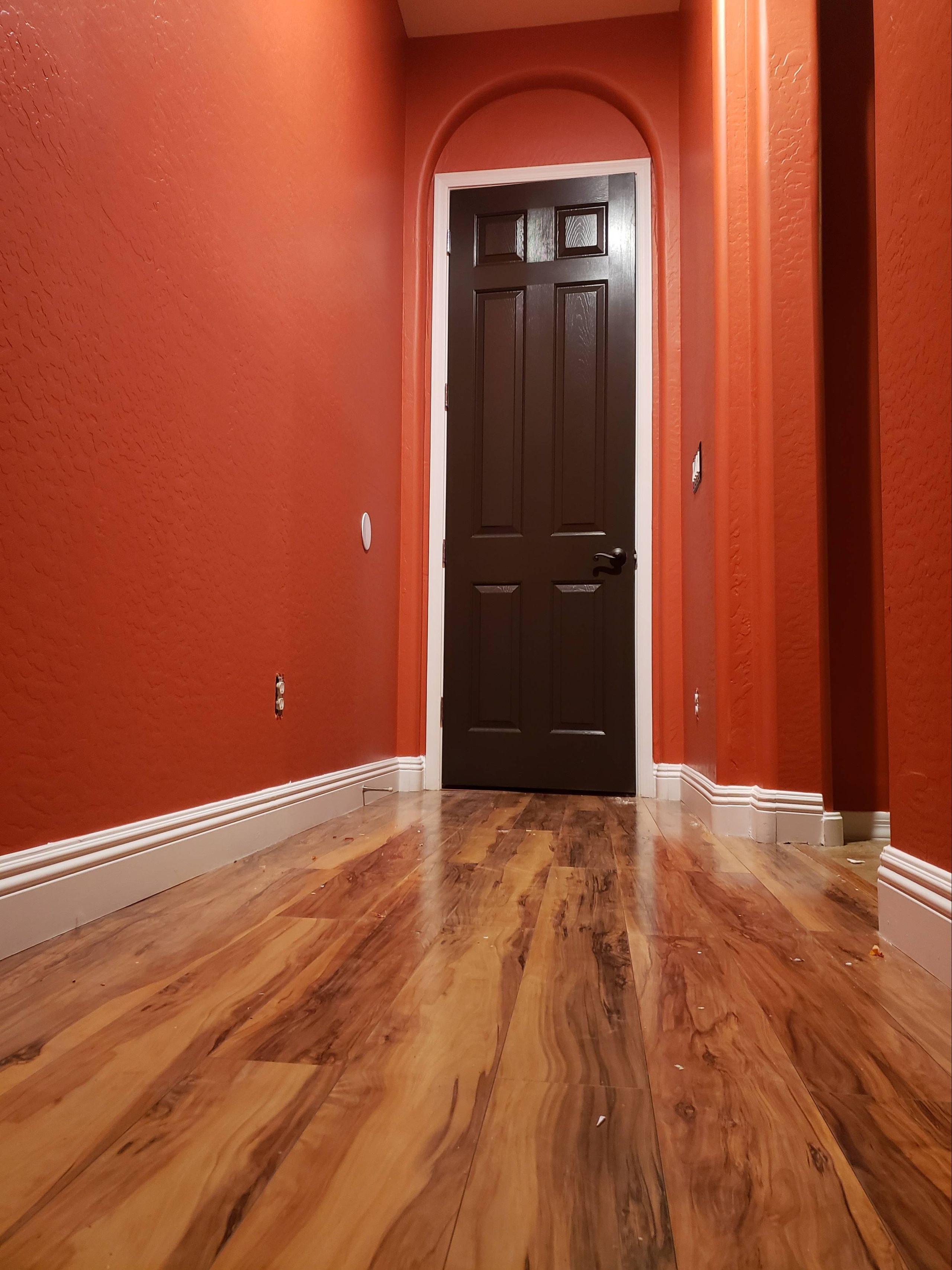A dark six-panel door centered on a terracotta wall, with white baseboards and a wood floor.